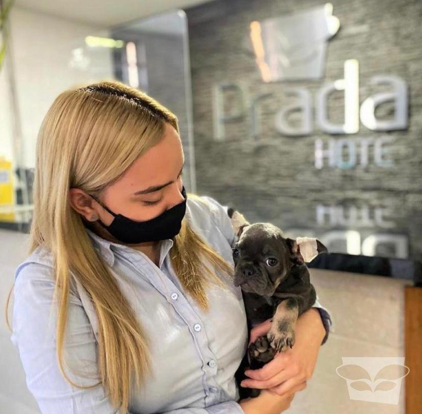 בלו Hotel Prada Sas מראה חיצוני תמונה